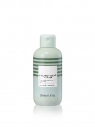 Шампунь Eslabondexx очищающий и балансирующий себорегулирующий для жирных волос 250 мл